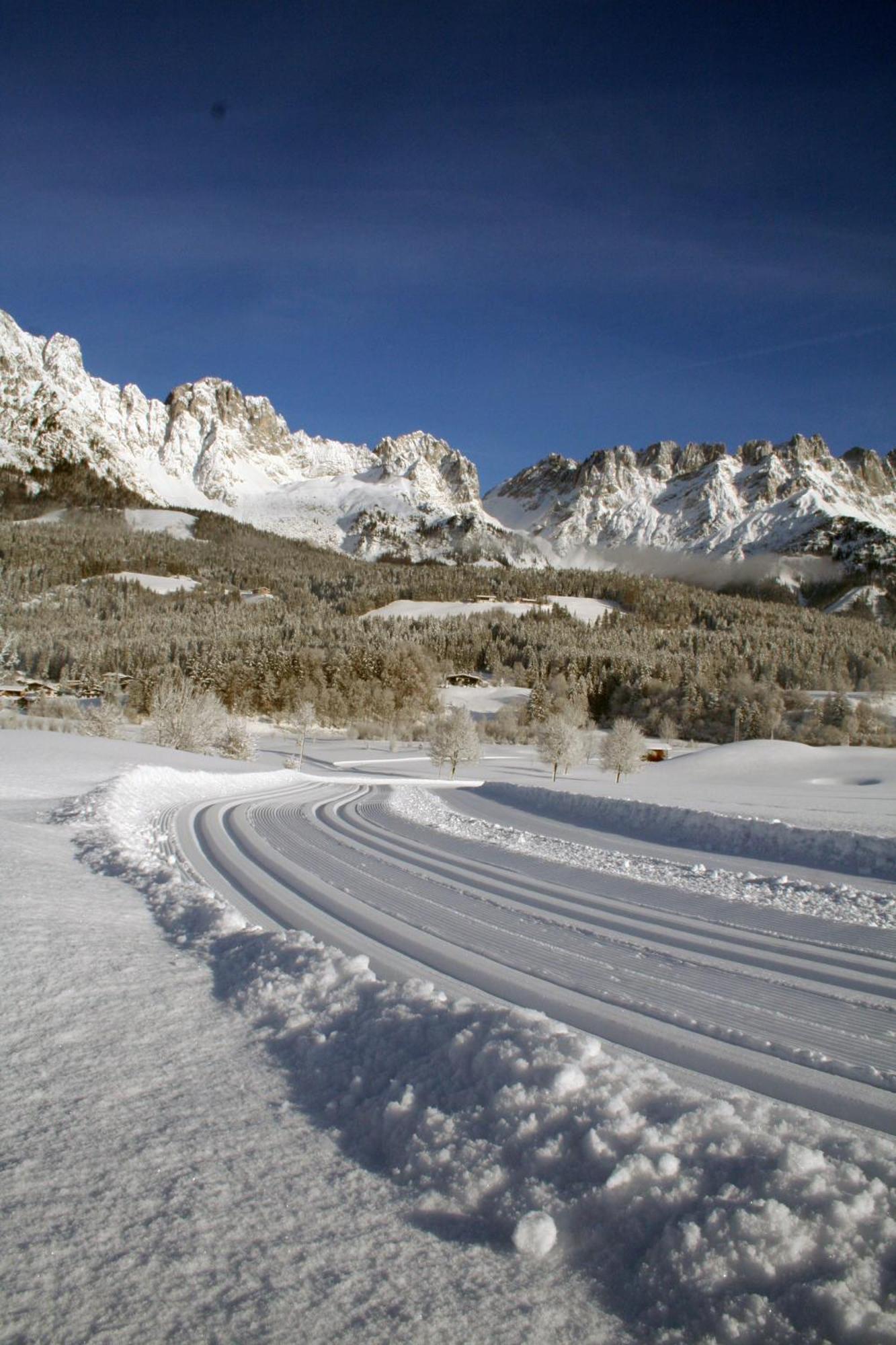 Appartement Claudia Going am Wilden Kaiser ภายนอก รูปภาพ